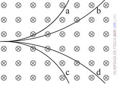 "ofib_13.gif"